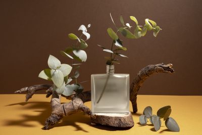 عطر بیکینی هانلو